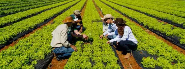 comprar diploma Curso Técnico em Agronegócio, vendo diploma Curso Técnico em Agronegócio